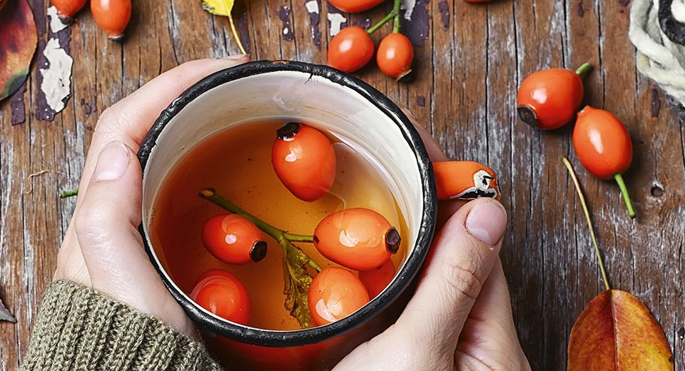 Cup of healing tea with autumn hips in his hands