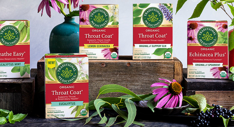 Best Teas for the Cold Season