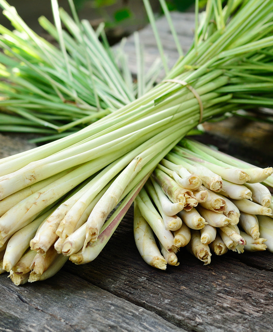 Lemongrass