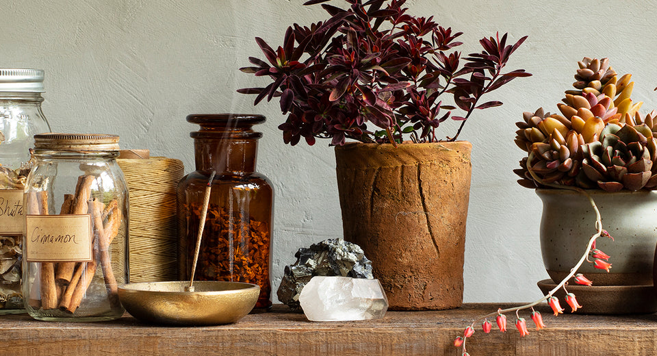 Stock Your Fall Herbal Apothecary