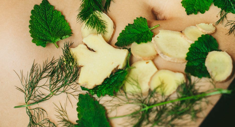 Herbs & The Digestive System