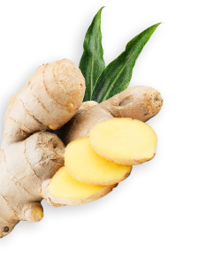Ginger herb