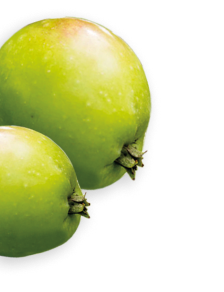 Wild Apple herb